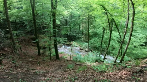 Gorges du Chauderon, 16 May 2020, Switzerland. 库存影片 130523766