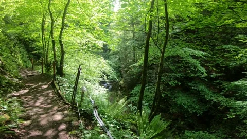 Gorges du Chauderon, 16 May 2020, Switzerland. 库存影片 130523832