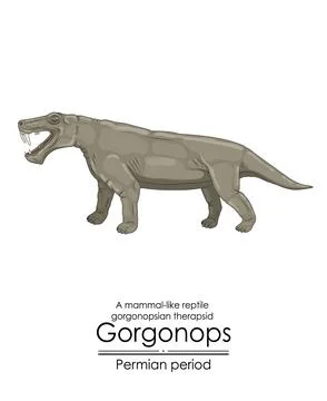 Gorgonops, a distant relative of mammals Stock Illustration