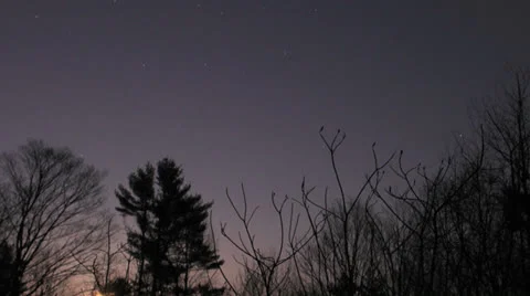 Gorham Farm Full Moon Time-lapse Trees Stock Footage 24818745