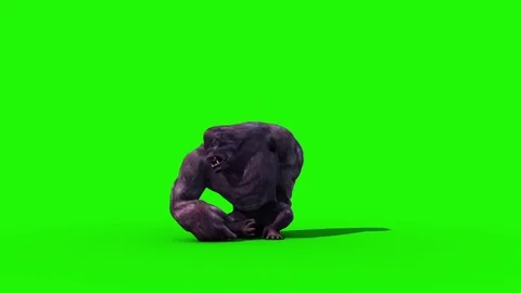 Gorilla Angry Screams Front Green Screen 3D Rendering Animation Stock Footage 85225816