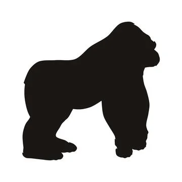 Gorilla black silhouette Stock Illustration