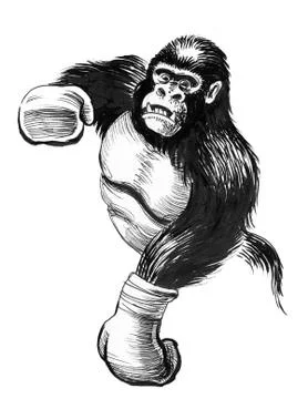 Gorilla boxer Stock Illustration