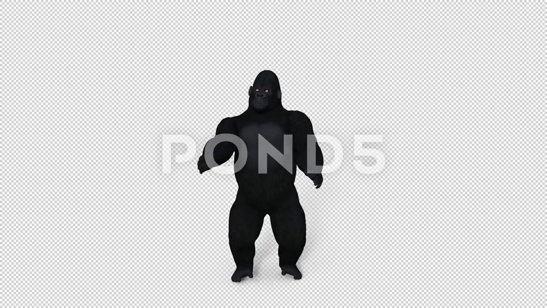 the gorilla character dances, loop, anim... | Stock Video | Pond5