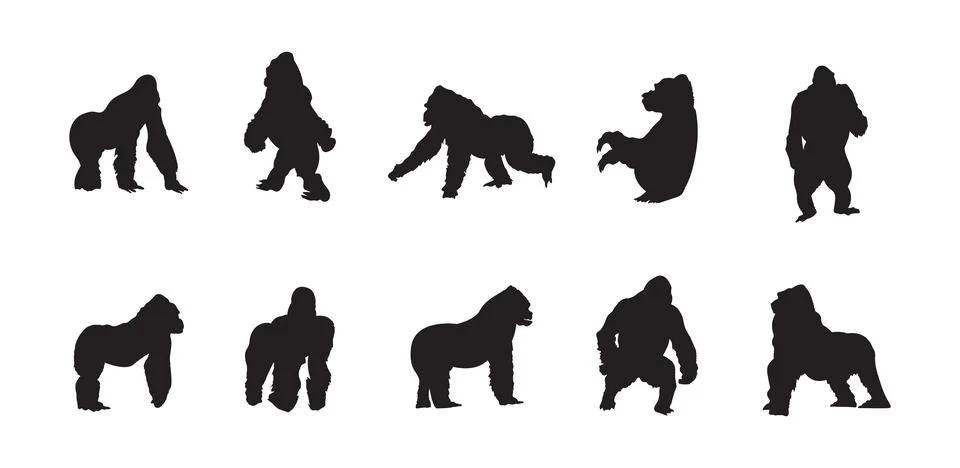 Gorilla Collection Stock Illustration
