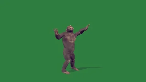 A gorilla is dancing isolated isolated on green screen background Stock-Footage 336890445