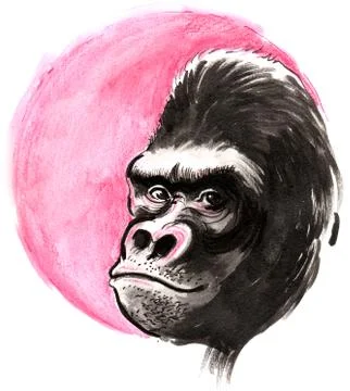 Gorilla face Stock Illustration