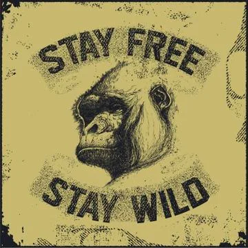 Gorilla head . Hand drawn. Vector eps8 Stock Illustration