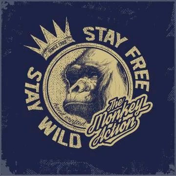 Gorilla head . Hand drawn. Vector eps8 Illustrazione stock