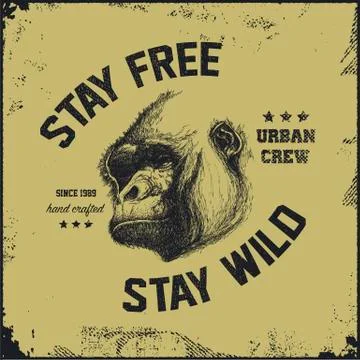 Gorilla head . Hand drawn. Vector eps8 Stock Illustration