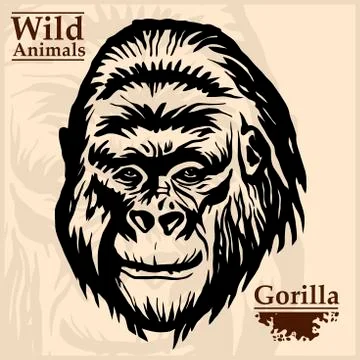 Gorilla head vector graphic illustration monochrome style Stock Illustration