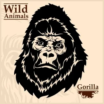Gorilla head vector graphic illustration monochrome style Stock Illustration