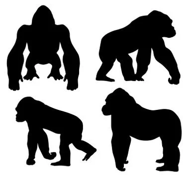 Gorilla Stock Illustration