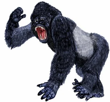 Gorilla Stock Illustration
