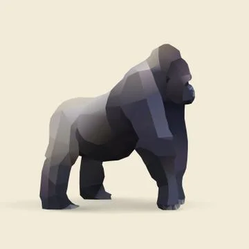 Gorilla Stock Illustration
