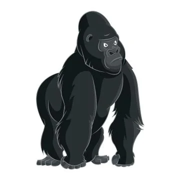 Gorilla Stock Illustration