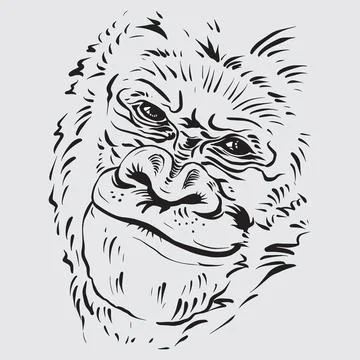 Gorilla Stock Illustration