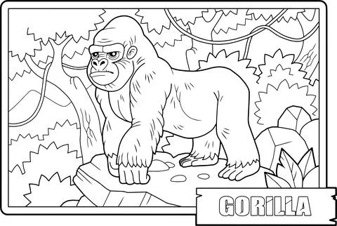 Gorilla monkey, coloring page Stock Illustration