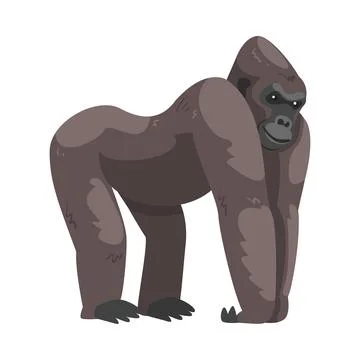 Gorilla Monkey as Ground-dwelling Herbivorous Great Ape Vector Illustration Stock Illustration