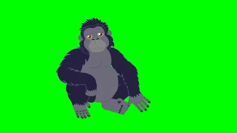 Gorilla or monkey or chimpanzee character scratching his body and shaking his Stock Footage 285950986