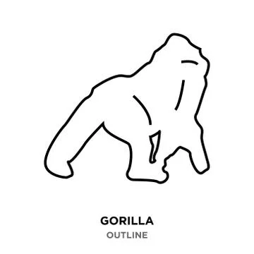 Gorilla outline on white background Illustrazione stock
