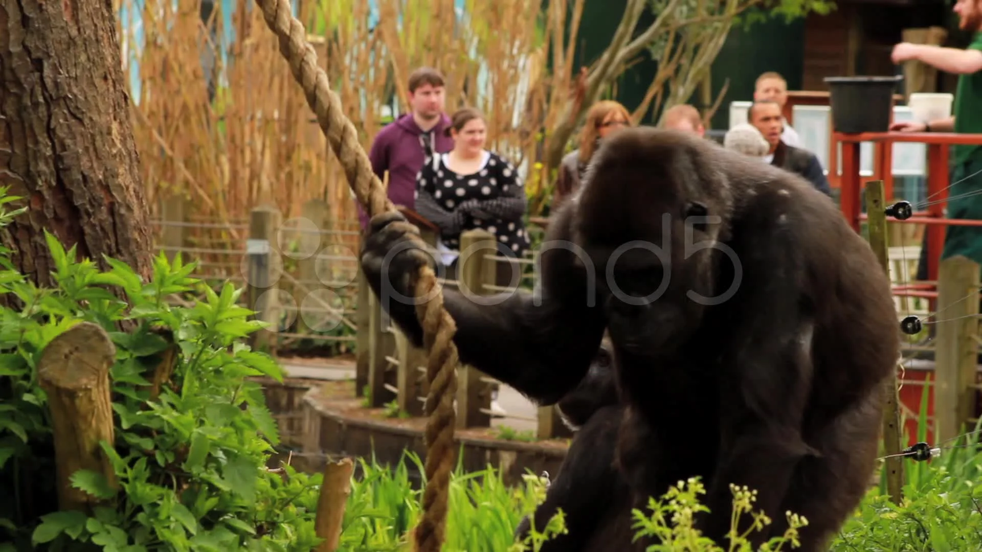 Secrets of the Zoo Offers Something Special Everyone Should Watch