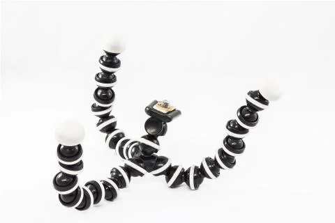 Gorilla pod Stock Photos