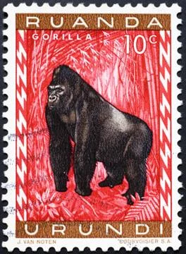 Gorilla on postage stamp of Rwanda Stock Photos
