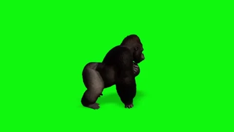 Gorilla silhouette dancing with golden light particles isolated on a bright Stock Footage 338332093