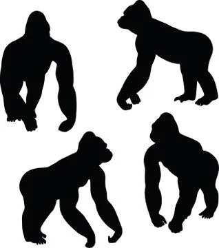 Gorilla silhouette Stock Illustration