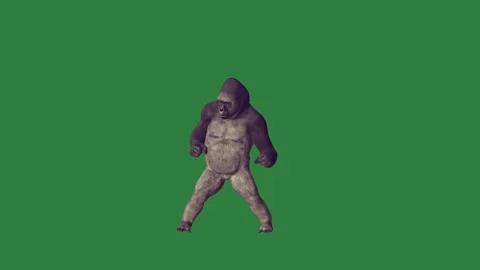 Gorilla standing in front of and walking on is dog cartoonish Stock Footage 335978159