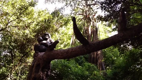 Gorilla Statue 1080 Video stock 126102975