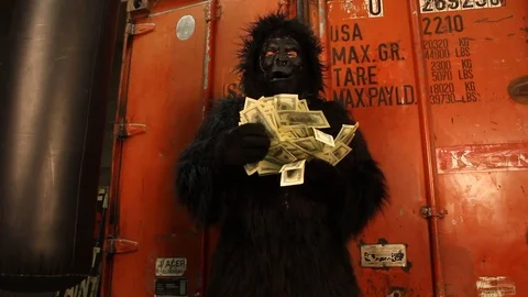 Gorilla throws money Video stock 126399965