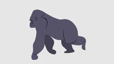Gorilla Walk Cycle Animation Stock Footage 294303113