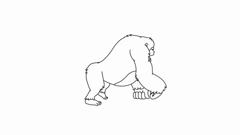 Gorilla walk Hand Drawn motion 2D animation Stock-Footage 301233011
