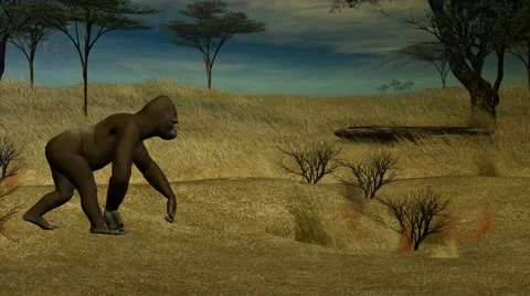 Gorilla Walking Through The Jungle Stock Footage 6848851