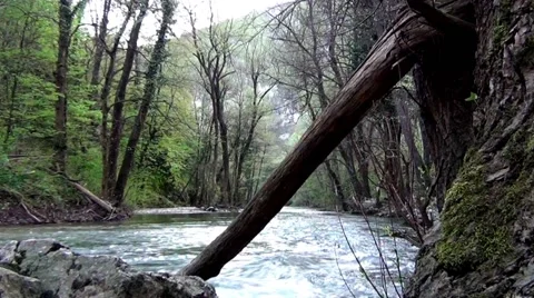 Gornjacki canyon Vídeo Stock 62052053