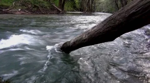 Gornjacki Canyon Vídeo Stock 62052105