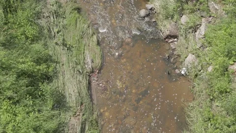 Gorodnichanka river top view Stock-Footage 160976692