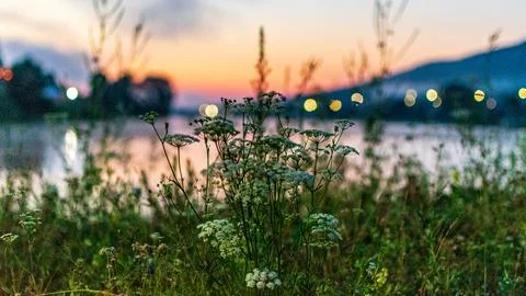 городской пруд 写真素材