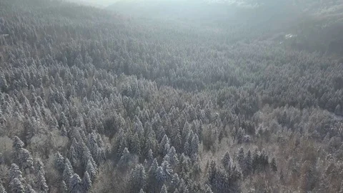 Gorski kotar Vidéo 101632956