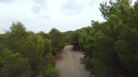 From the gorund to the sky Stock Footage 158618866