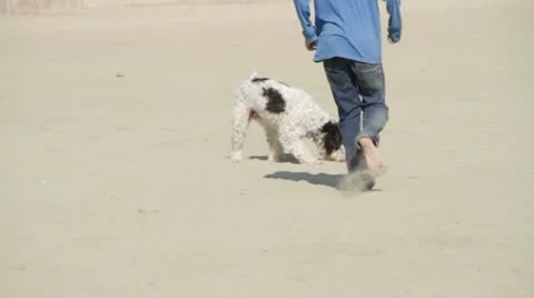 GOS Stock Footage 10849809