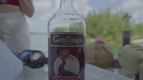 Goslings 動画素材 112258674