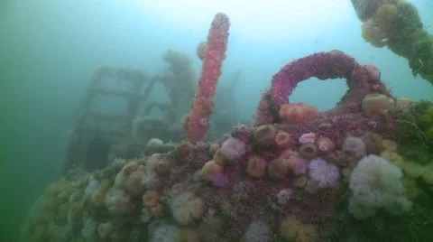 Gost ship Stock Footage 49374521