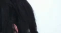 Goth girl expression - 2 - shake the head - frustration HD видео футажи