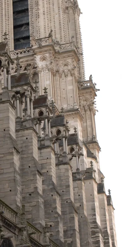Gothic Architecture and Stone Facade of Notre Dame Cathedral in Paris 스톡 동영상 344615793
