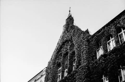 Gothic Architecture Stock Photos