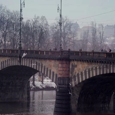 Gothic Bridge. Stock Footage 69424714