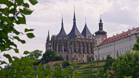 Gothic Cathedral Behind Summer Foliage Stock Footage 313882295